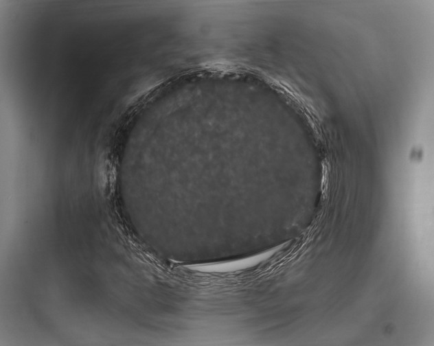 X0000097991302200803241332