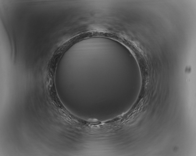 X0000097991303200803241332