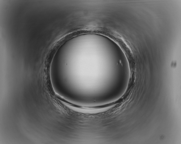 X0000097991304200803241332