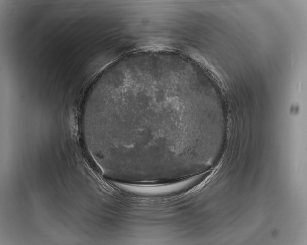X0000097991305200803241332