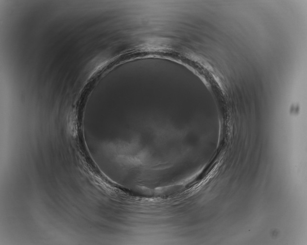 X0000097991306200803241332