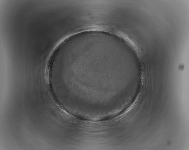 X0000097991310200803241332