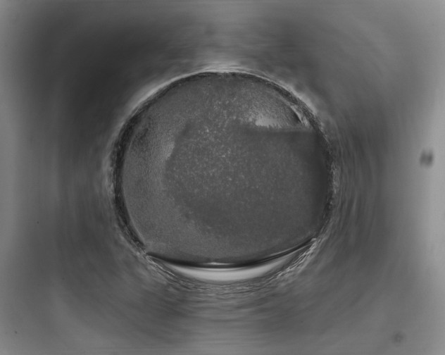 X0000097991311200803241332