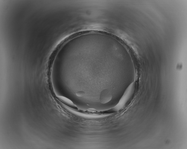 X0000097991312200803241332