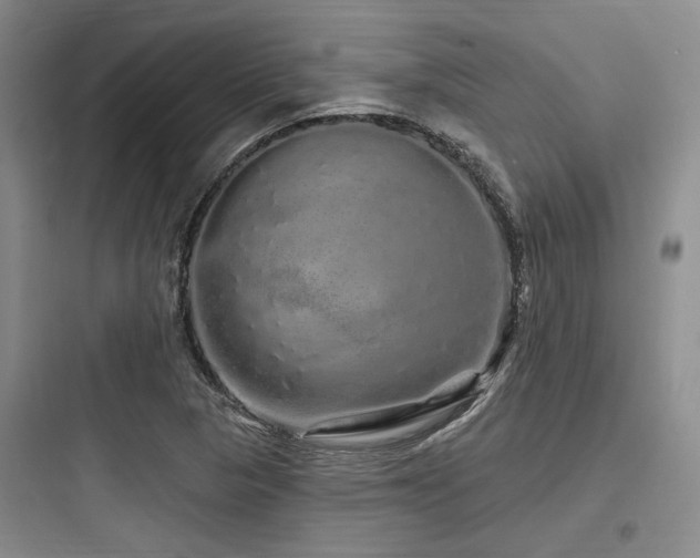 X0000097991313200803241332
