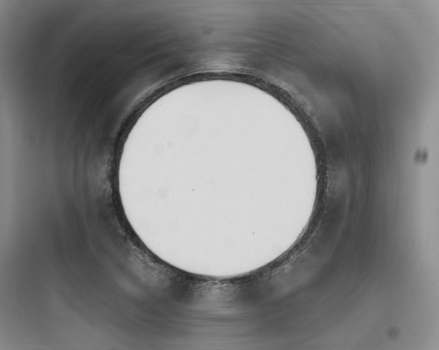 X0000097991314200803241333