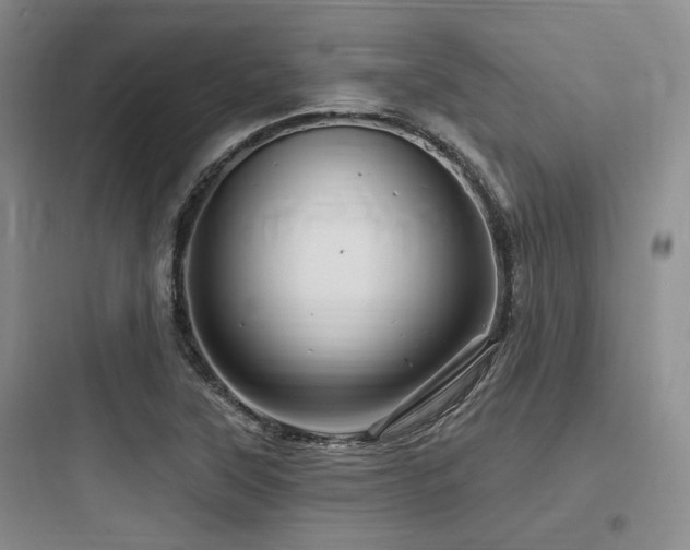 X0000097991315200803241333