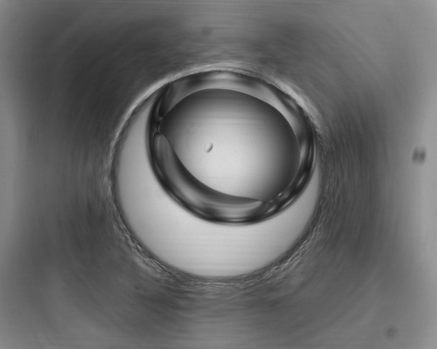 X0000097991316200803241333