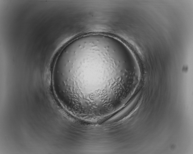 X0000097991317200803241333