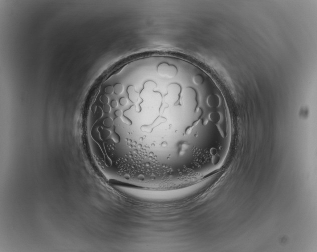 X0000097991318200803241333