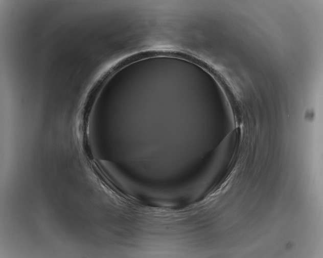 X0000097991319200803241333