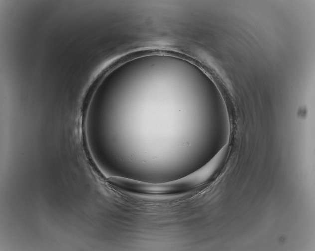 X0000097991320200803241333