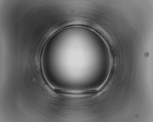 X0000097991321200803241333