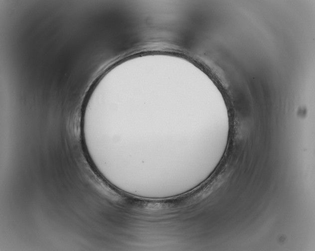 X0000097991322200803241333