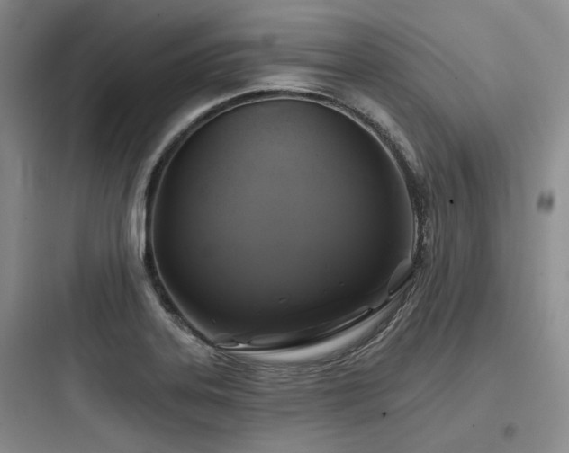X0000097991323200803241333