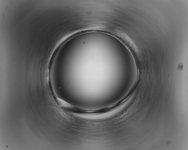 X0000097991324200803241333