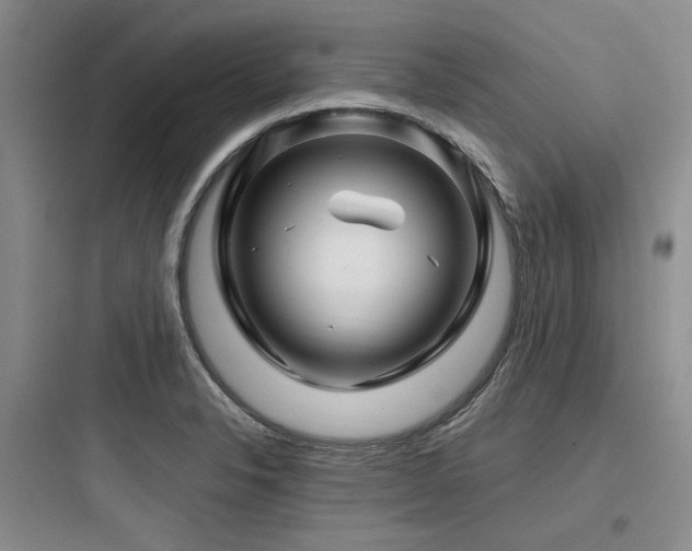 X0000097991326200803241333