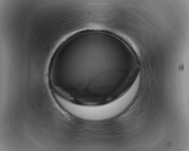 X0000097991327200803241333