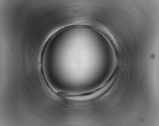 X0000097991328200803241333
