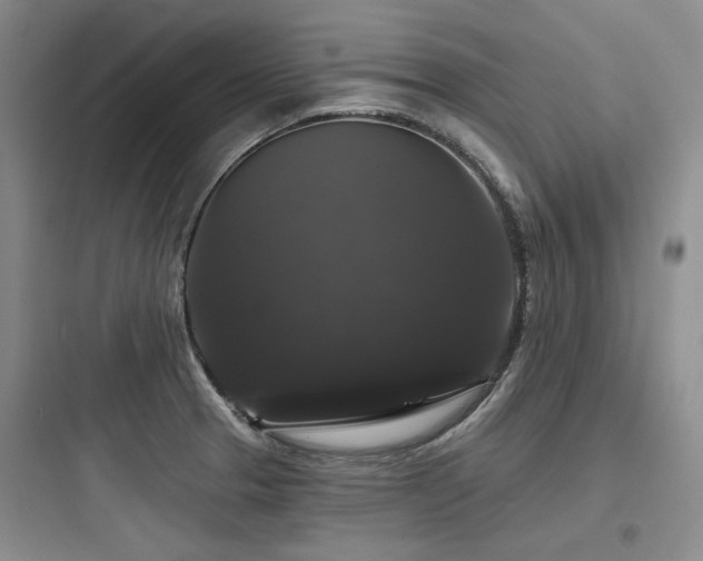 X0000097991329200803241333