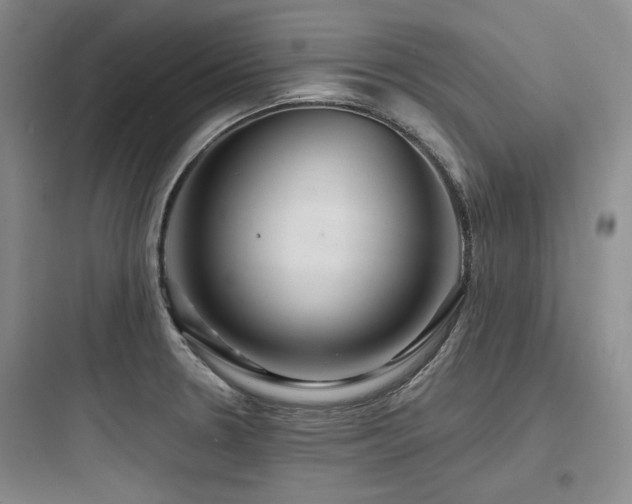 X0000097991330200803241333