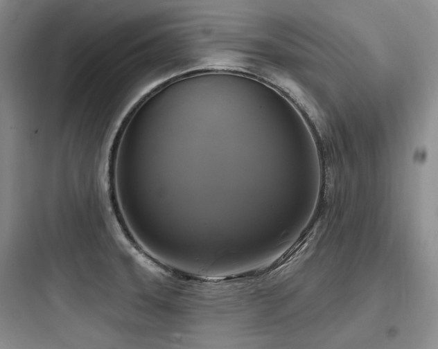 X0000097991331200803241333