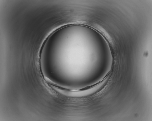 X0000097991332200803241333