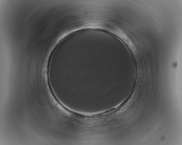 X0000097991334200803241333