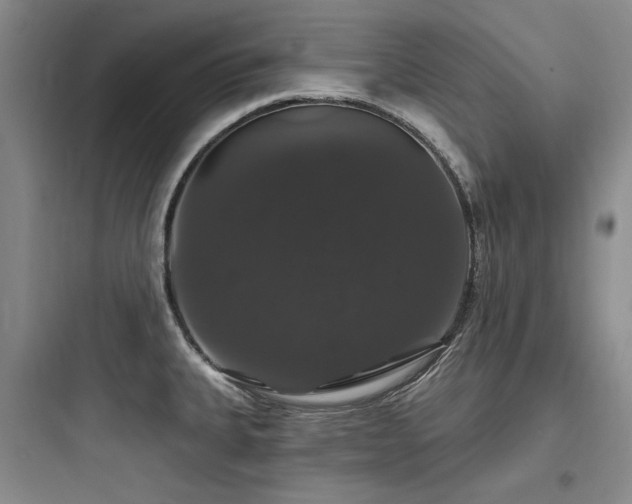 X0000097991335200803241333