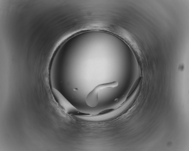 X0000097991336200803241333