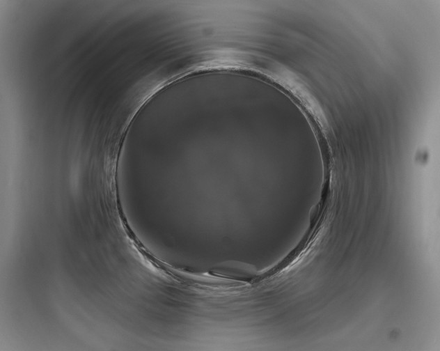 X0000097991337200803241333