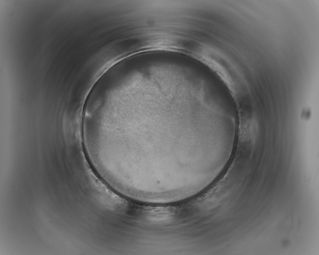 X0000097991338200803241333