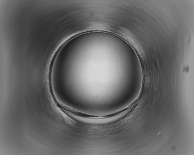 X0000097991339200803241333