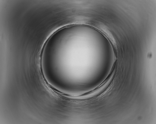 X0000097991340200803241333
