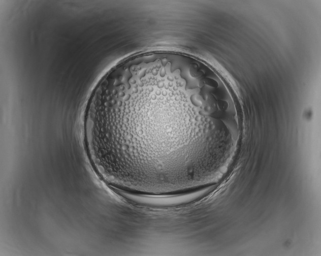 X0000097991341200803241333