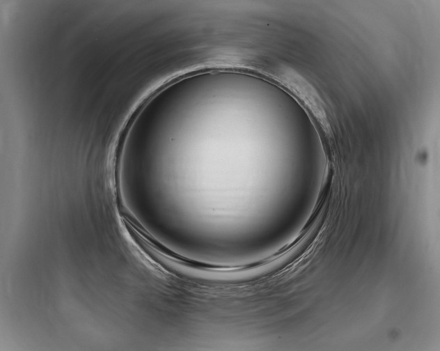 X0000097991342200803241333