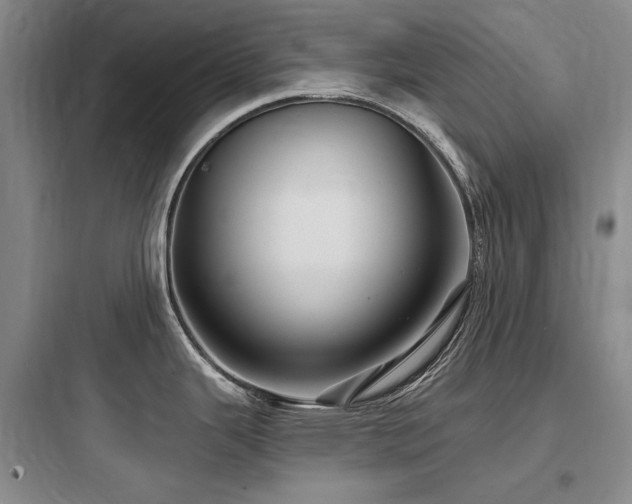 X0000097991343200803241333