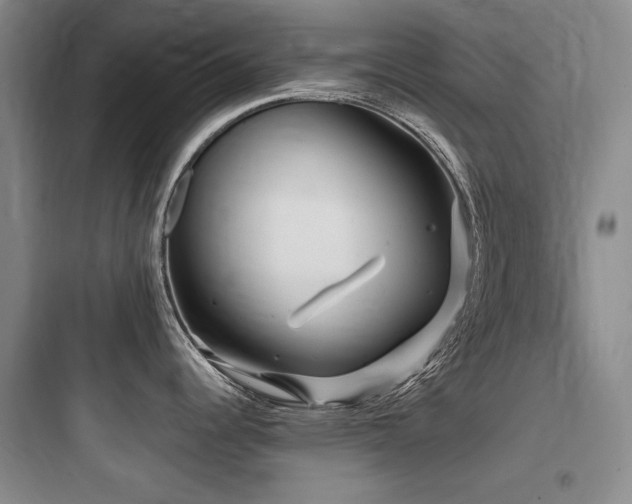 X0000097991344200803241333