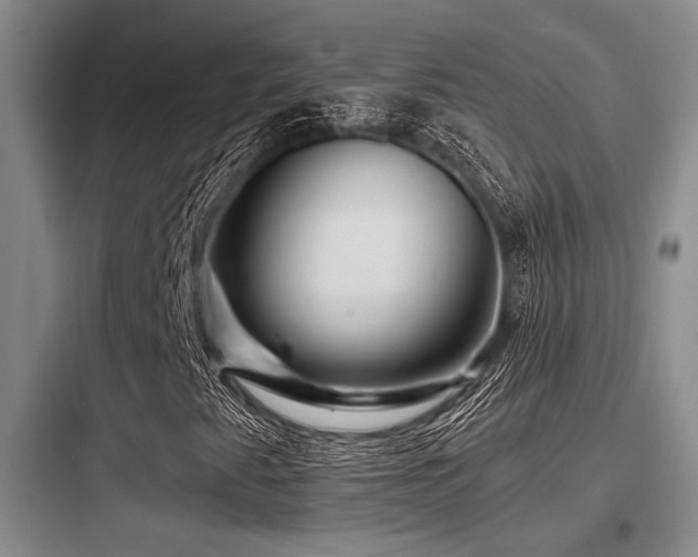 X0000097991345200803241332
