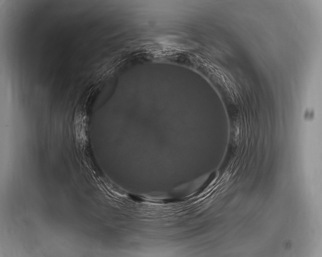 X0000097991346200803241332