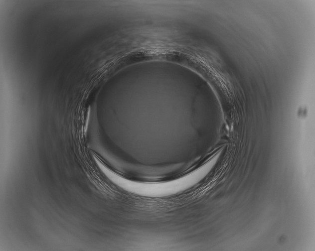 X0000097991348200803241332