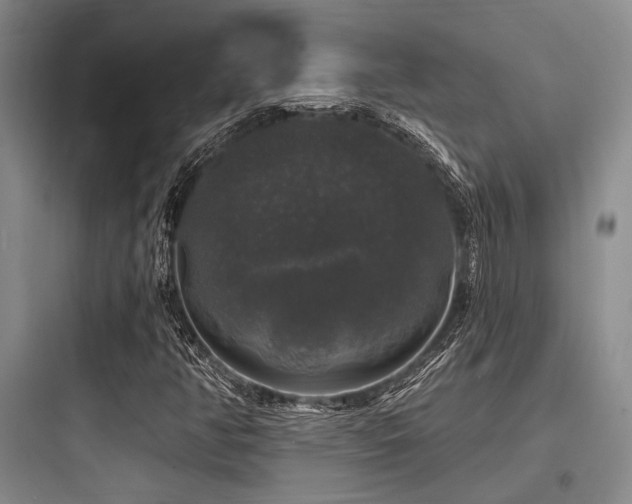 X0000097991350200803241332