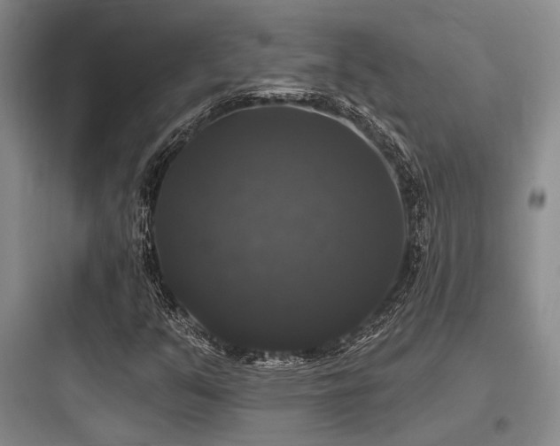 X0000097991351200803241332
