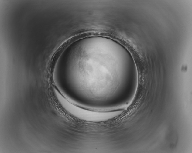 X0000097991352200803241332