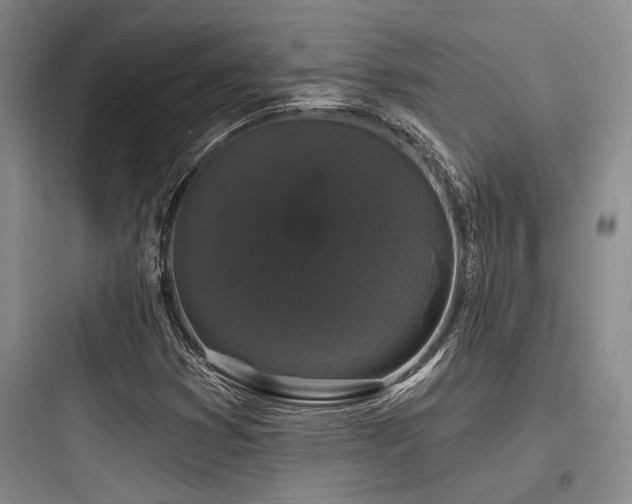 X0000097991353200803241332