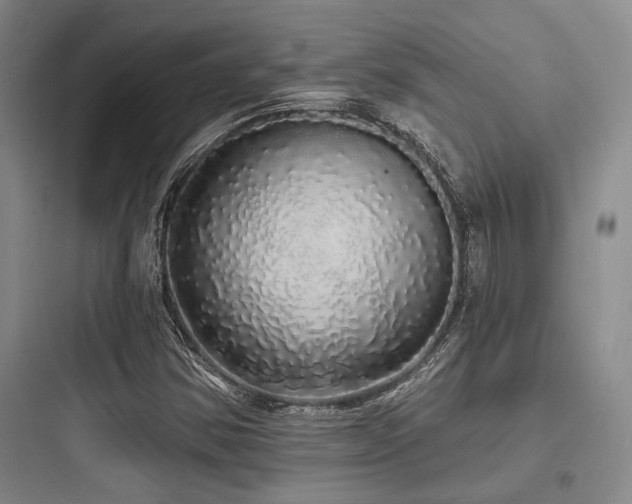 X0000097991354200803241332