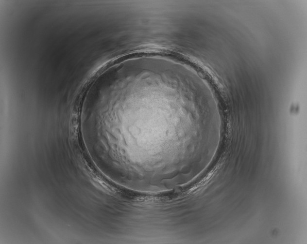 X0000097991355200803241332