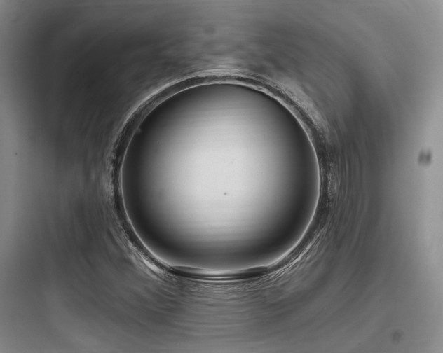 X0000097991356200803241332