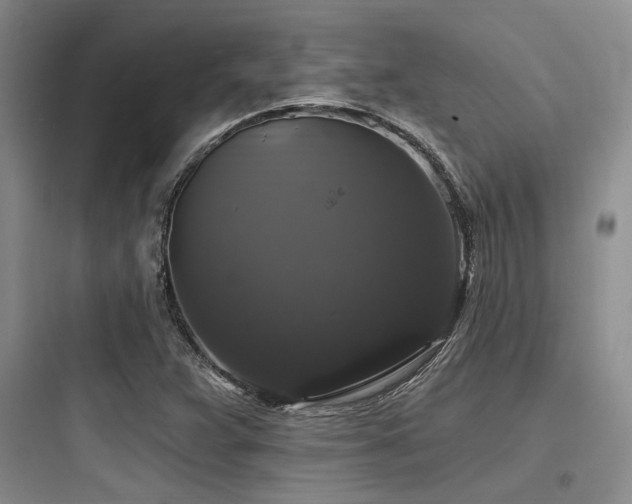 X0000097991359200803241332