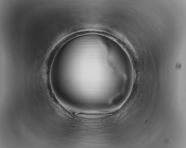 X0000097991360200803241332